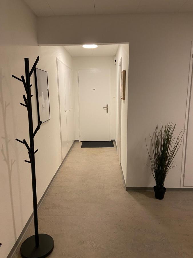 Comfort 1 And 2Bdr Apartment Close To Zurich Airport Exteriör bild