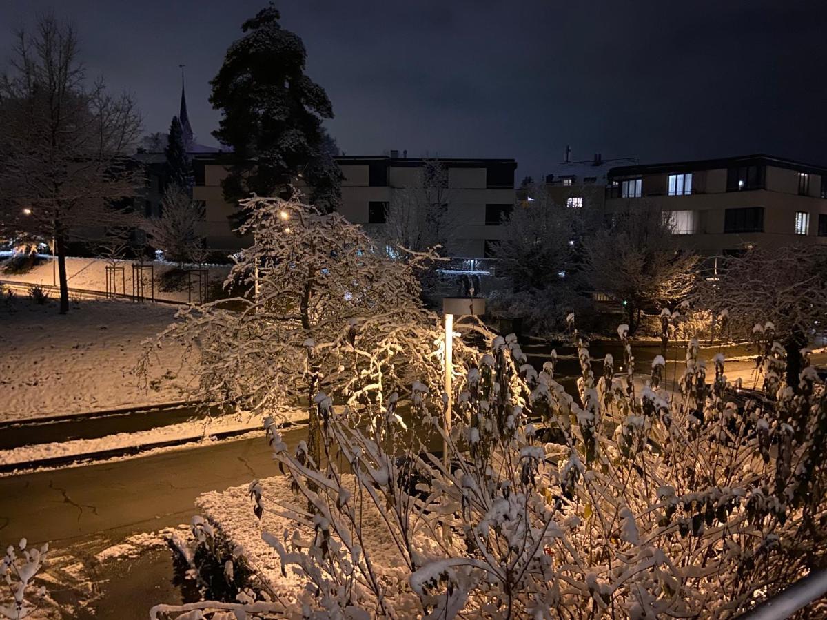 Comfort 1 And 2Bdr Apartment Close To Zurich Airport Exteriör bild