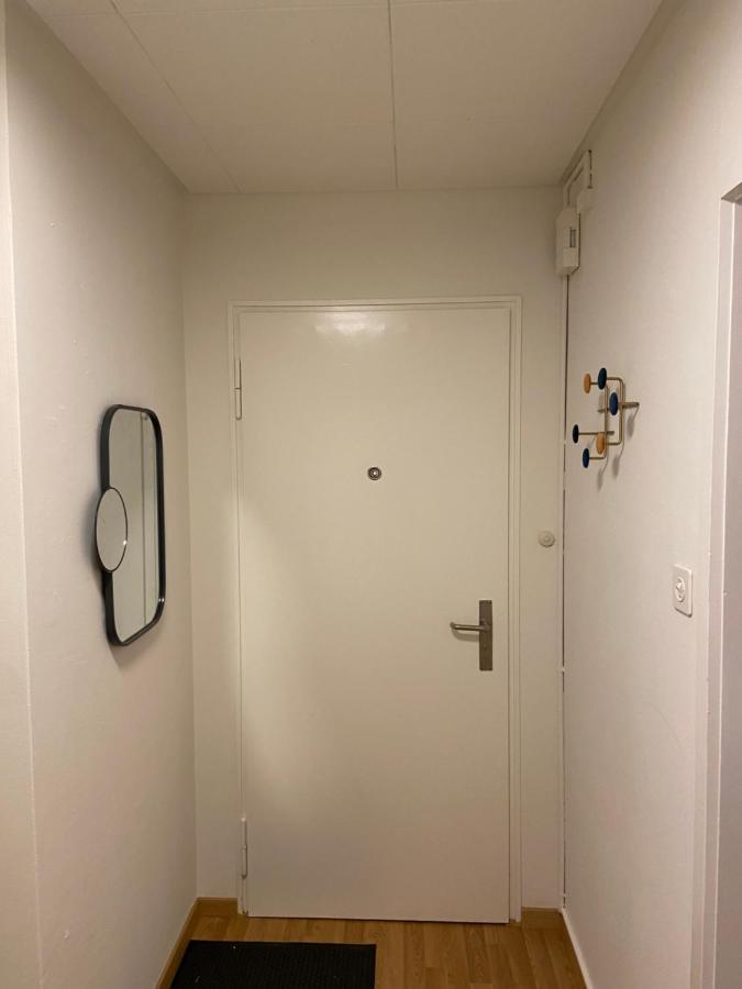 Comfort 1 And 2Bdr Apartment Close To Zurich Airport Exteriör bild
