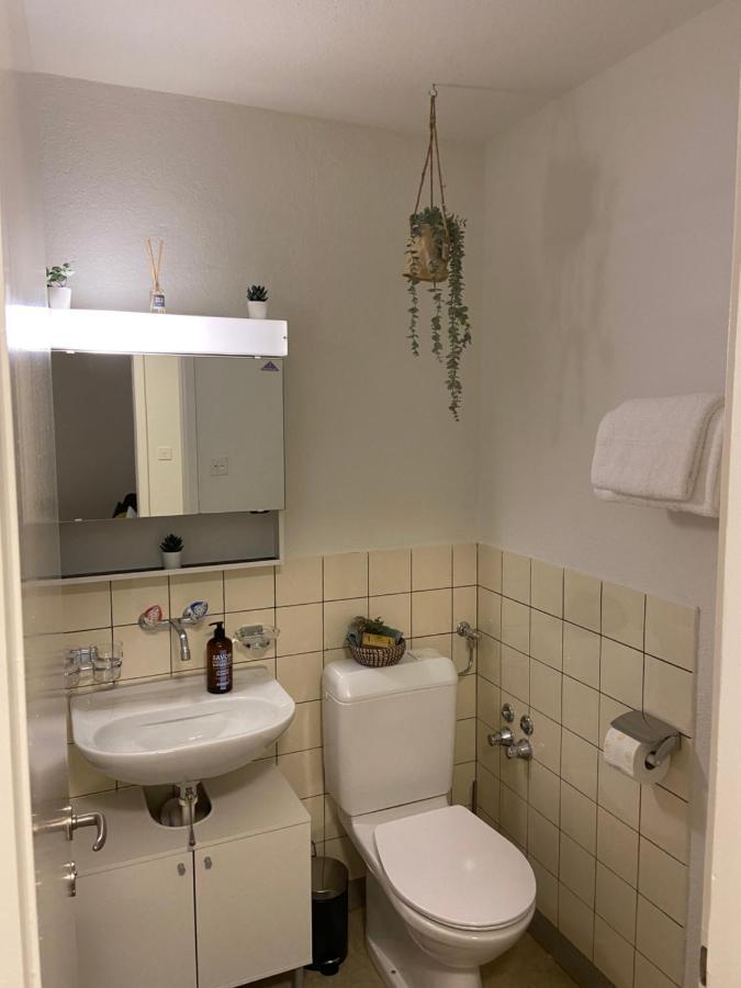 Comfort 1 And 2Bdr Apartment Close To Zurich Airport Exteriör bild