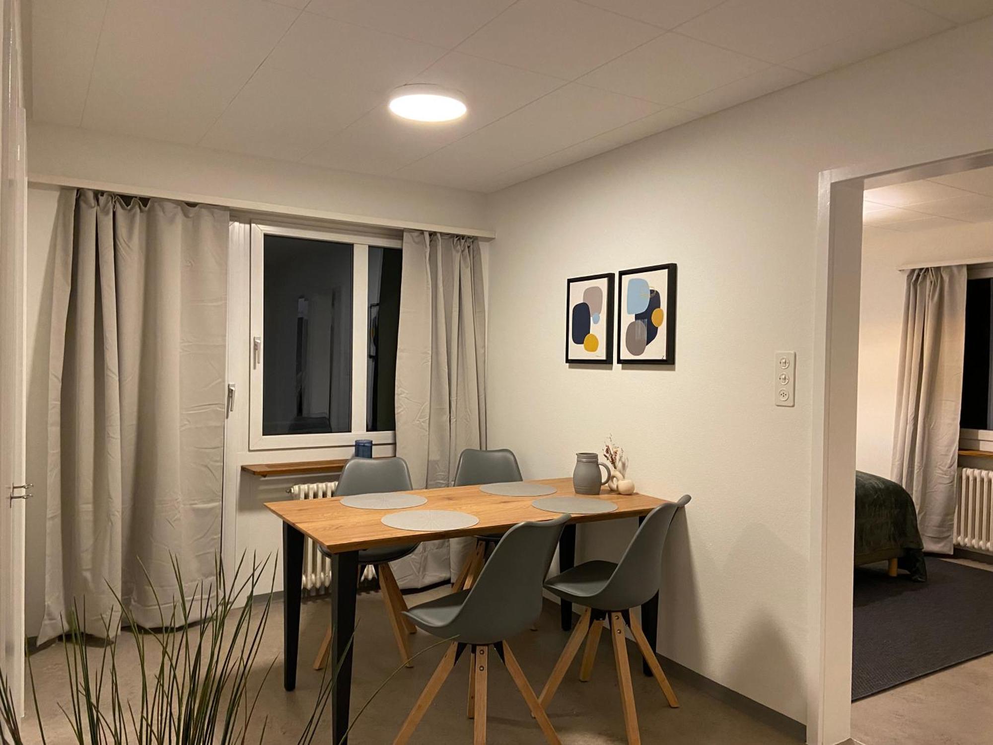 Comfort 1 And 2Bdr Apartment Close To Zurich Airport Exteriör bild